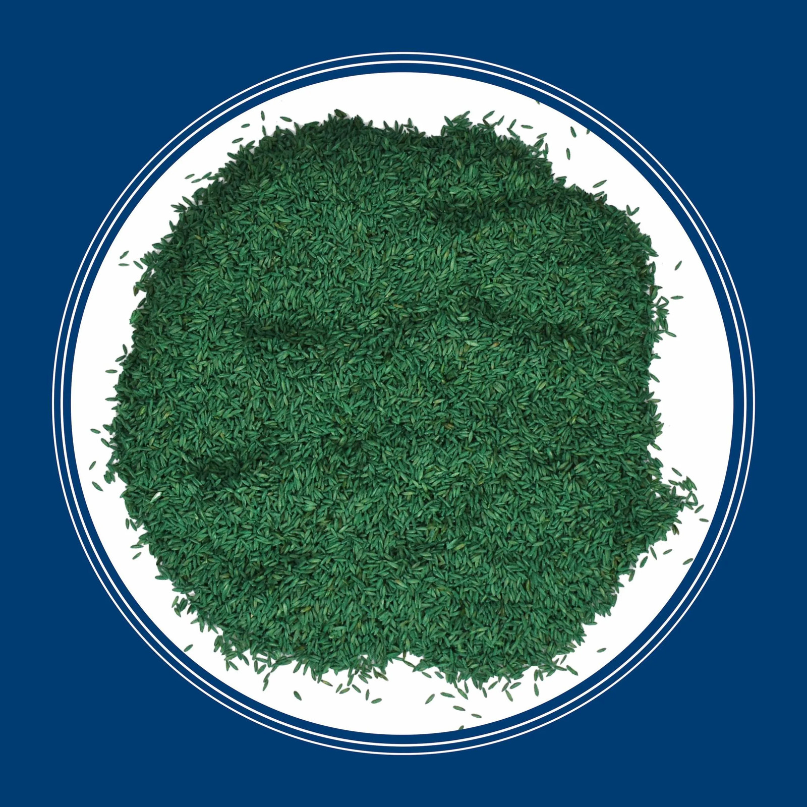 Kentucky Bluegrass Northern Grass Seed Mix, for Sun to Partial Shade, 7 Lb.