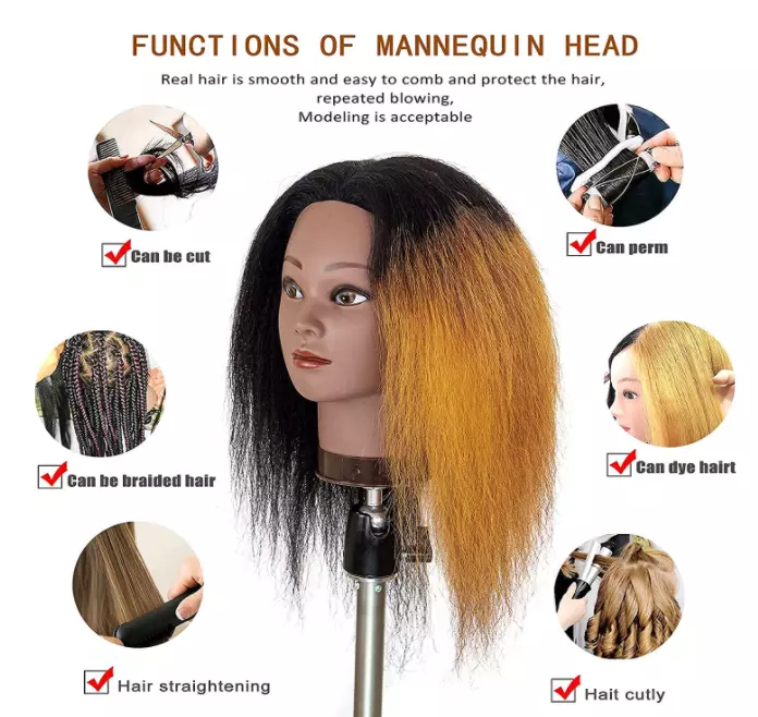 Mannequin Head 100% Real Human Hair 16 inch, Braiding Styling Doll