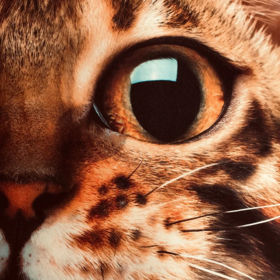 Large Cat Face Mask 43 cm x 38 cm - Image 4 of 4