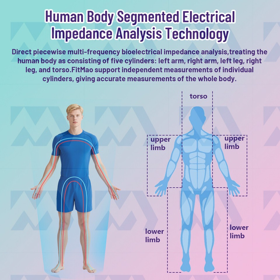 Professional Full Body Fat Analyzer Scanner Analysis Machine FM280 ...