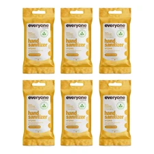Everyone Hand Sanitizing Wipes Coconut Lemon 15 wipes (Pack of 6)