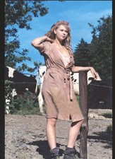 Veronica Ferres  original signiertes Foto 20 x 30 cm  HAMMERMOTIV