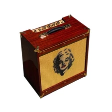 Unique Ashen "Goldy" 20 Watts 12" Handmade Tube Guitar Amp Combo w/Reverb Padauk