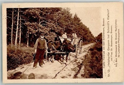 13983986 - 2800 Bremen Nr 13 Heilshorner Gespann bei Schmidts Kiefern