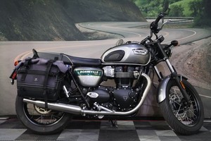 2022 Triumph Bonneville T100 Gold Line Silver Ice / Competition Green