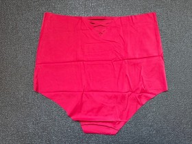 Lot 5 Victoria&rsquo;s Secret Sz M No-Show Modern Brief Slip Panty Bundle Pack