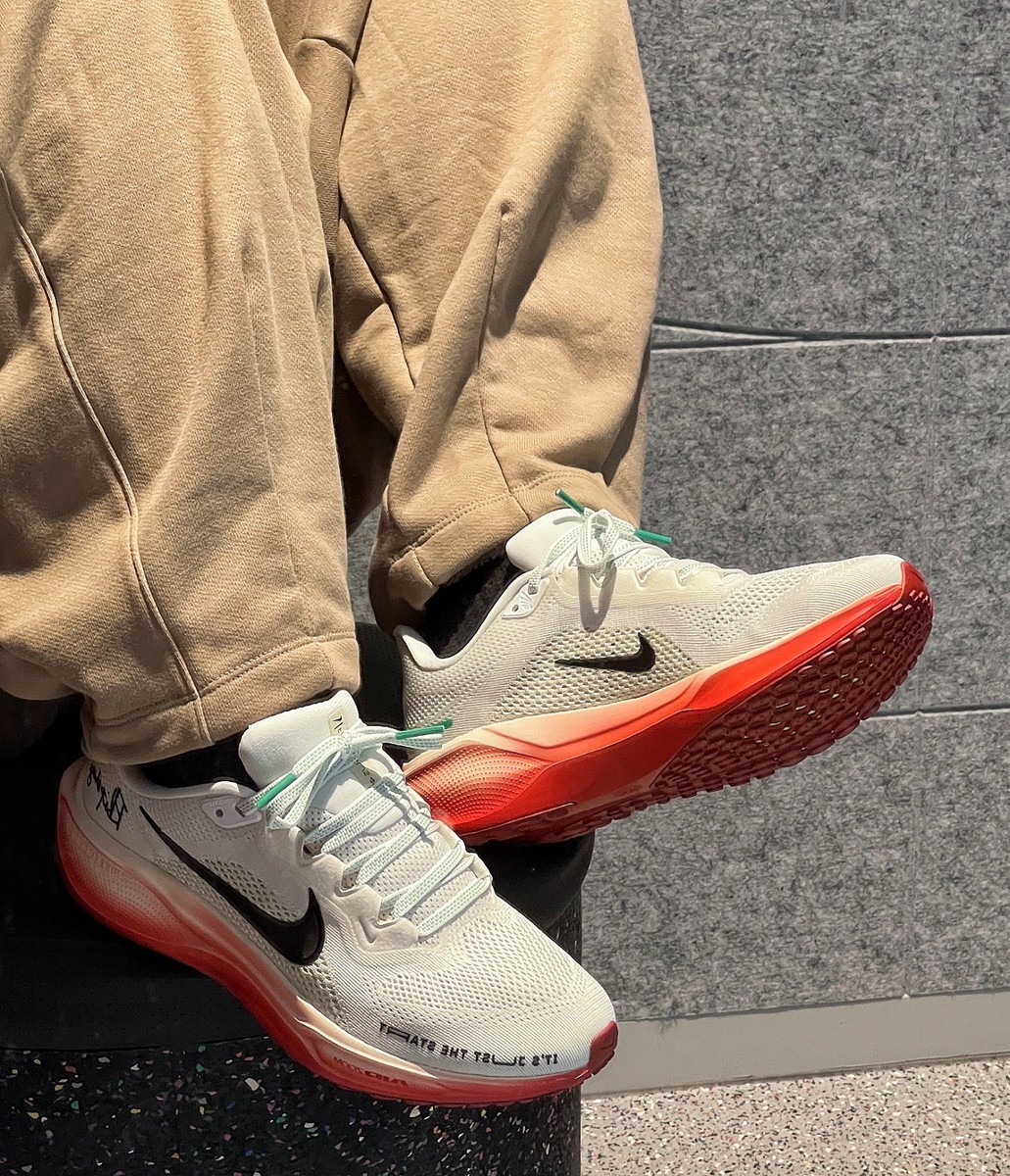 スパイク・シューズ AIR ZOOM PEGASUS 41 EK Eliud Kipchoge Men's Size 12-Nike Eliud Kipchoge x Air Zoom Pegasus 41 HJ7037-100