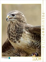 Calvendo Puzzle Pride | 1000 Pieces, Finished Size 25.2 × 18.9 In (64 × 48 Cm) |