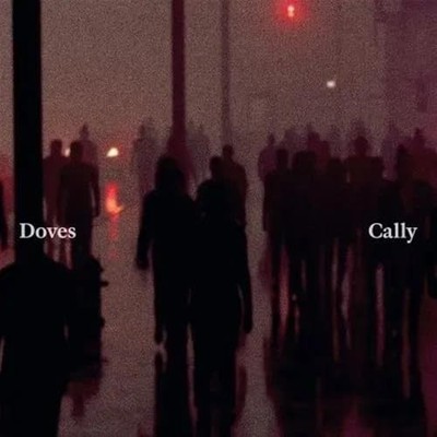 DOVES - CALLY / LEAN INTO THE WIND - Vinyl Record 12in - F99z
