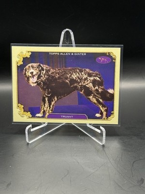 2024 Topps Allen & Ginter Stars Of Show #SOS-4 Truant '23 Masters Agility Winner