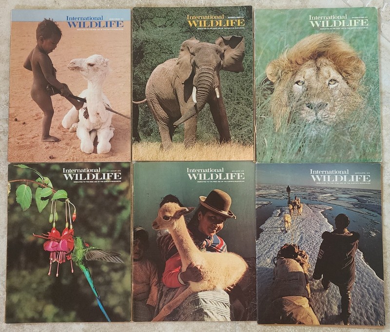 Six (6) Vintage International Wildlife magazines – 1975 Complete – Very good