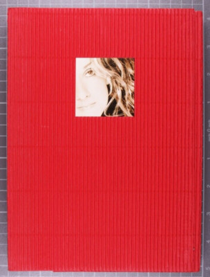 Celine Dion Tagebuch Planer offizielle Promo limitierte Auflage Konzert Agenda Promo 1999