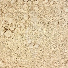 Reishi Ganoderma lucidum fungo Bio - 125g