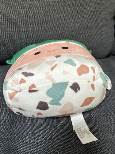 Squishmallows Abena The Succulent Plant 8 Inch Official Kellytoy Plush - 第 5/6 張圖片