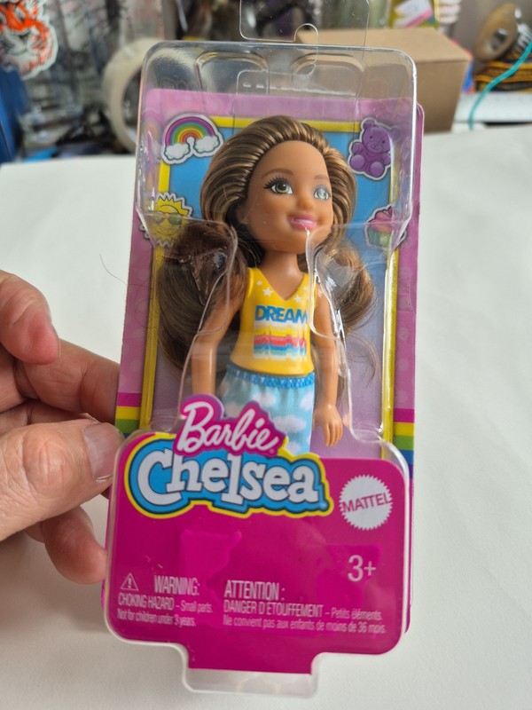 Barbie Chelsea Doll 6" Burnette Earing Skirt w/Cloud Print
