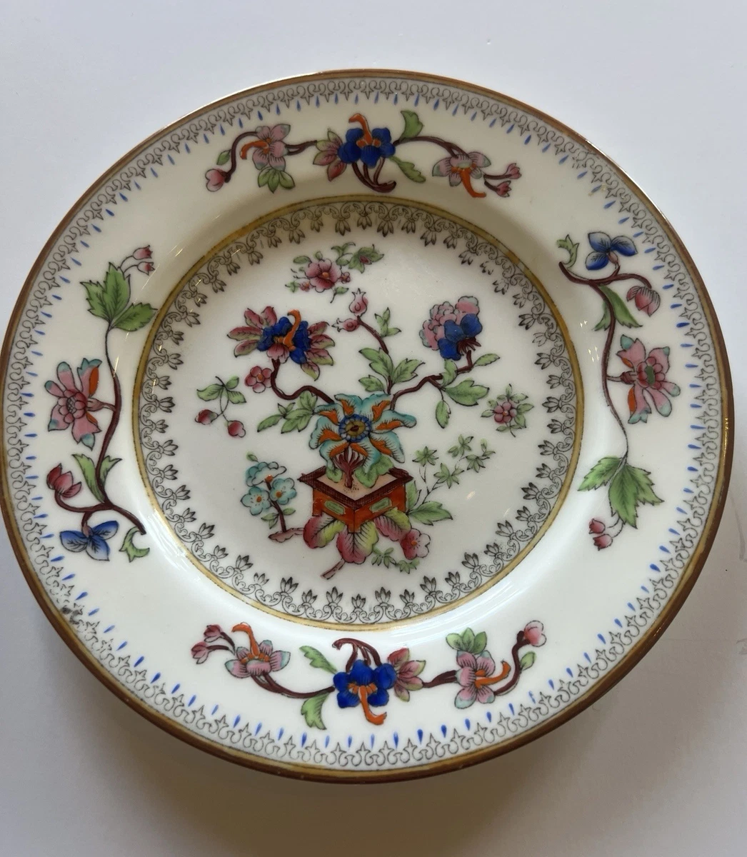 Coalport Flower Pot for sale | eBay