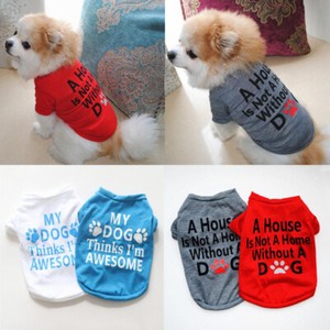 chihuahua summer clothes