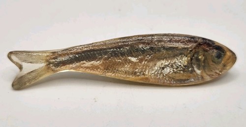 Ken Loeber Minnow Brooch Pin  - Signed.  Fish Acrylic Ichthyology Art Vintage