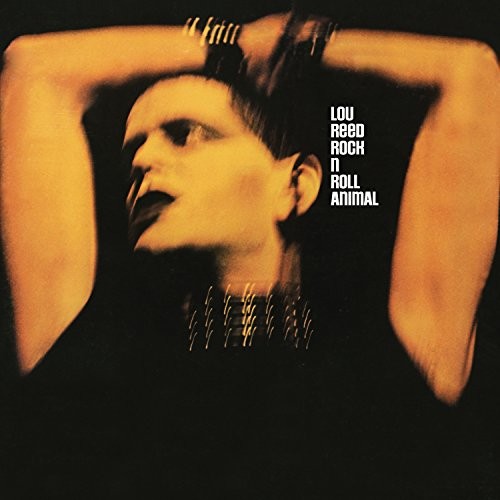 Lou Reed - Rock N Roll Animal - Vinyl Record Vinyl Longplay 33 1/3 - G3Z-image