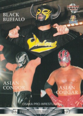 Black Buffalo Asian Condor & Asian Cougar 2006-07 BBM Pro Wrestling #84