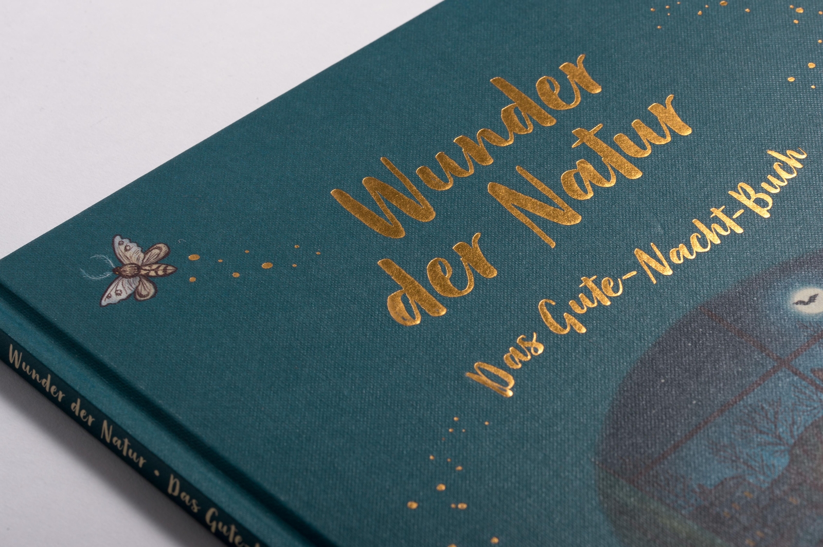 Thumbnail - Wunder Der Natur. Das Gute-nacht-buch, Rachel Williams