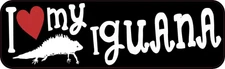 10in x 3in I Love My Iguana Magnet Car Truck Vehicle Magnetic Sign