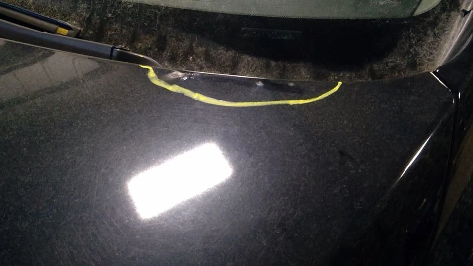 (LOCAL PICKUP ONLY) Rear Bumper Fits 03-05 MURANO 4231773 - Image 3 of 4