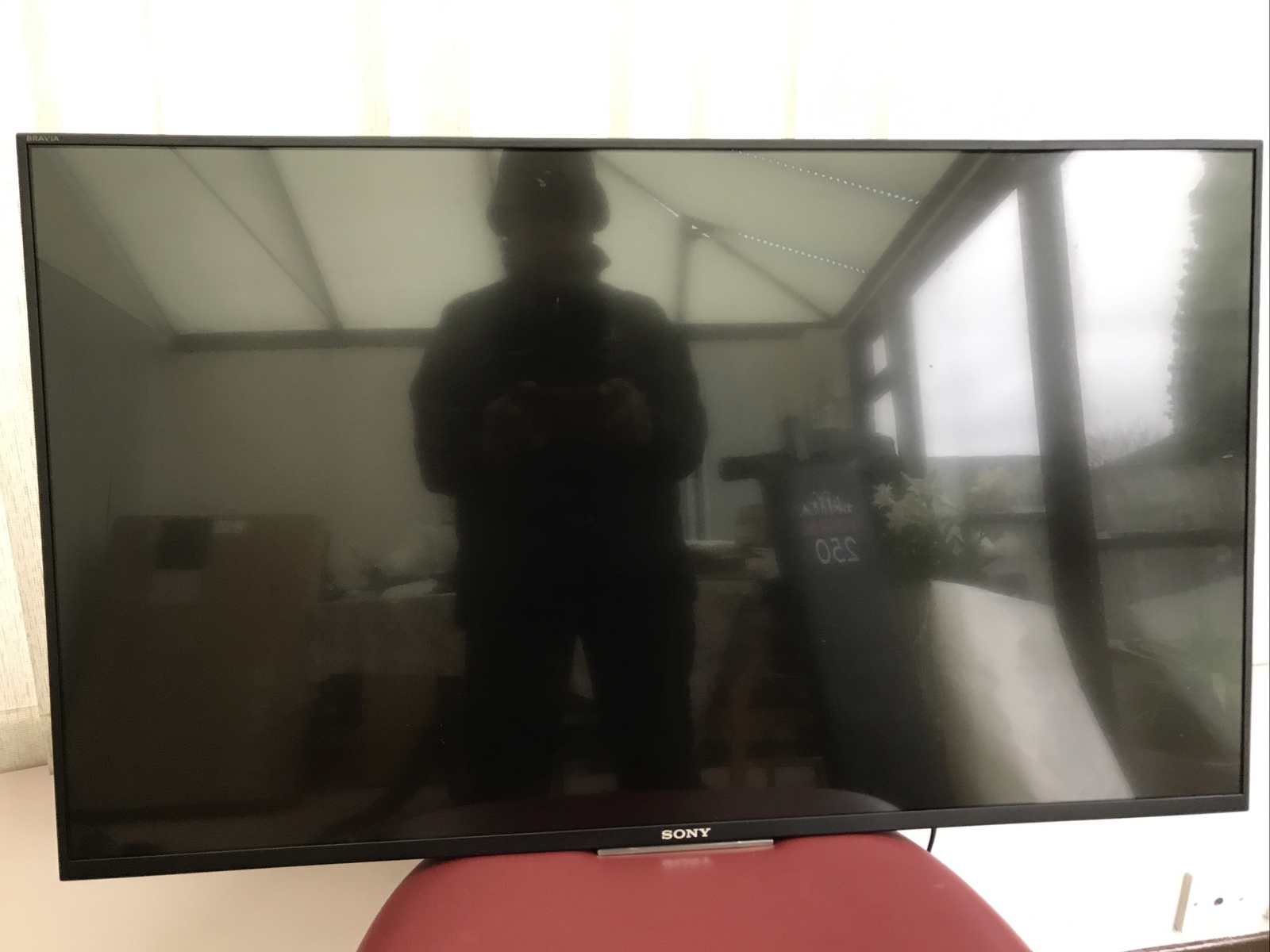 Picture 1 of 12