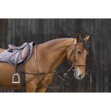 Enrênement élastique NORTON réglable, cheval, poney