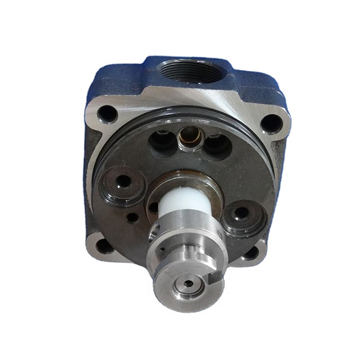 トッティ Ve Pump Hydraulic Head Rotor 1468334859 for Ford Transit
