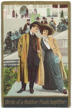 Vintage Post Card: Bids of a feather flock together
