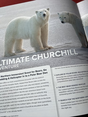 WWF  24-25 Natural Habitat Adventures Catalog EXPERIENCE CHURCHILL`S POLAR BEARS - Picture 3 of 5
