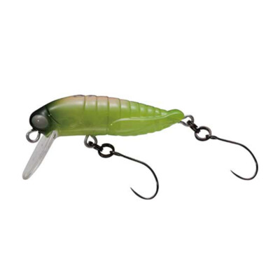 Rodio craft RC Grasshopper