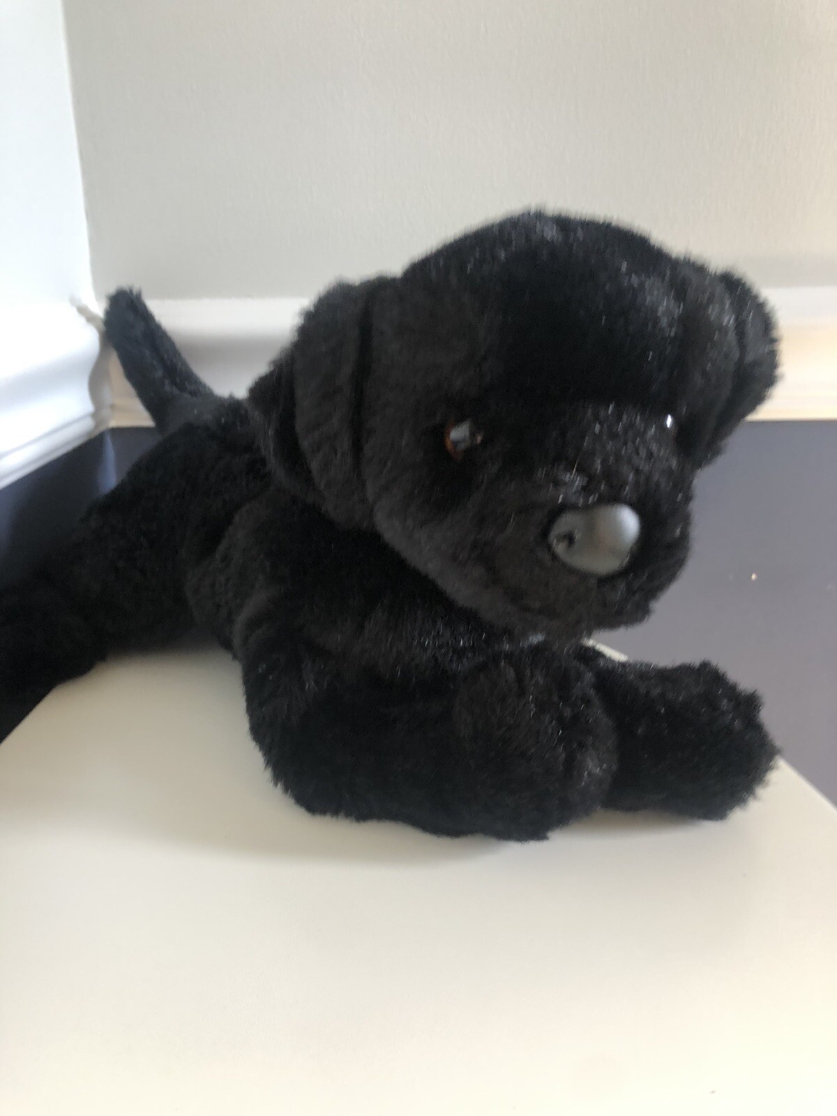 black lab teddy