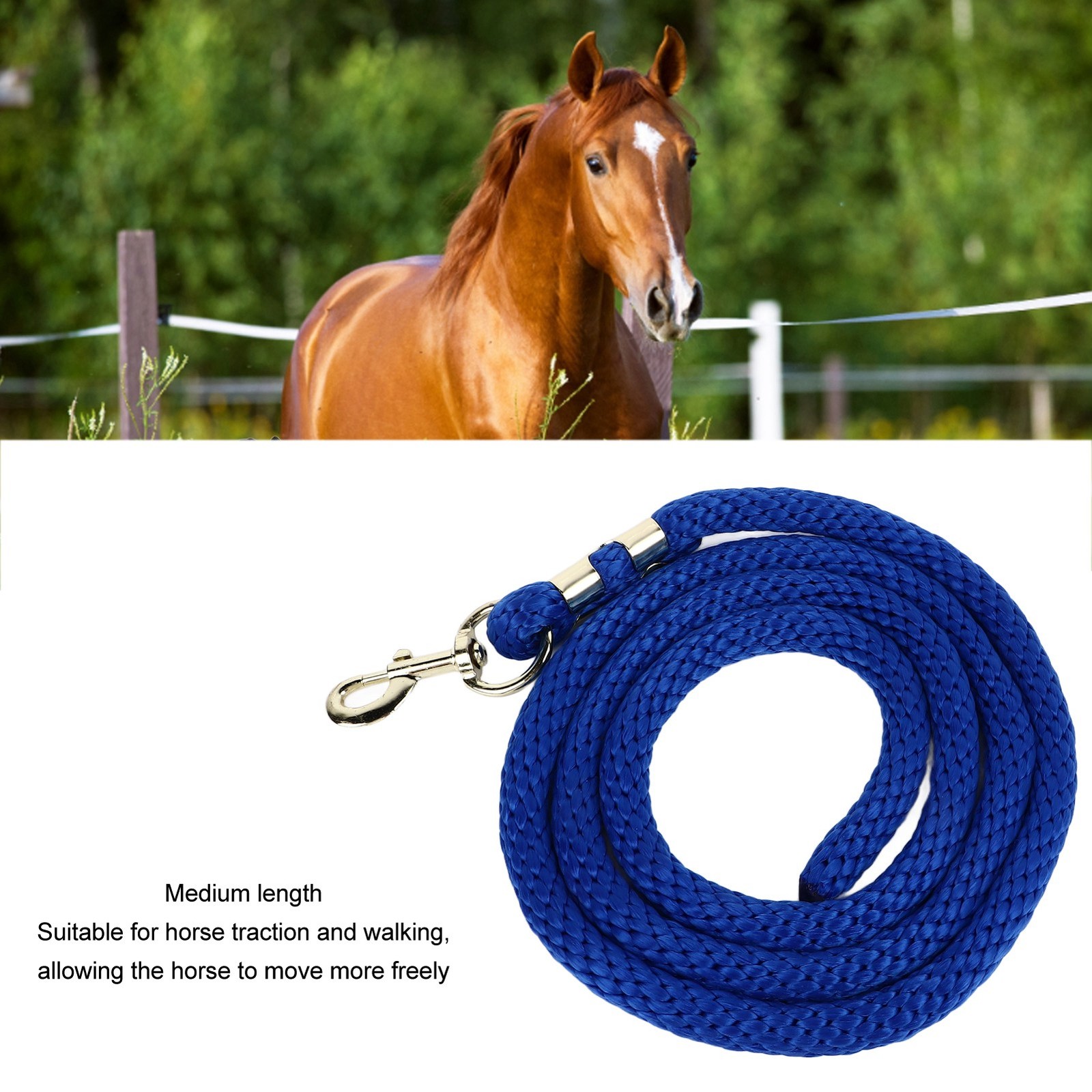 Horse Lunge Line With Snap Heavy Duty High Tensile Horse Training Rope For