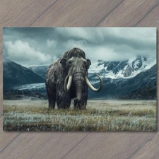 POSTCARD Woolly Mammoth Extinct Elephant Snowy Weird Vibe Strange Unusual Creepy
