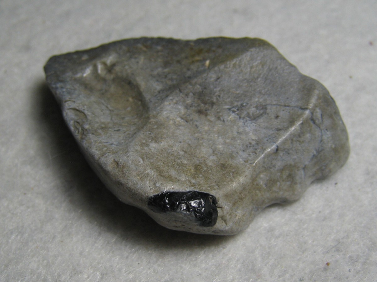 Bluish Gray Flint Stone Ancient Fracture And Spawl Kansas