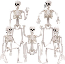 5Pcs Halloween Skeleton Decoration, 16 Full Body Posable Skeleton Halloween Ha