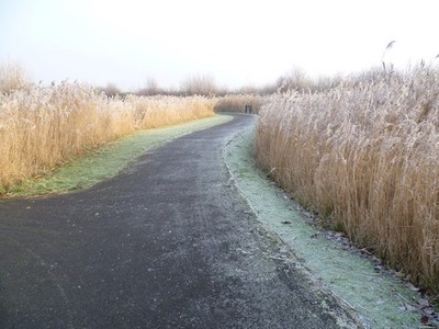 Foto A3 Frostiger Morgen im London Wetland Centre Barnes Der Nebel hatte c2012