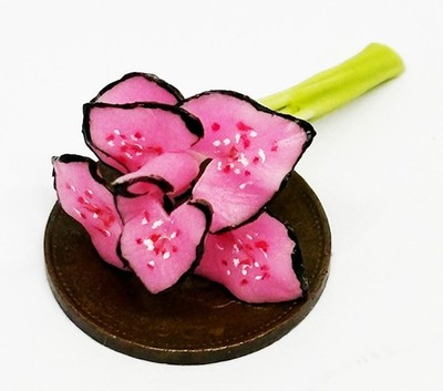 Puppenhaus rosa Schönheit Pflanze Garten einzeln Maßstab 1:12 Miniatur P5s tumdee