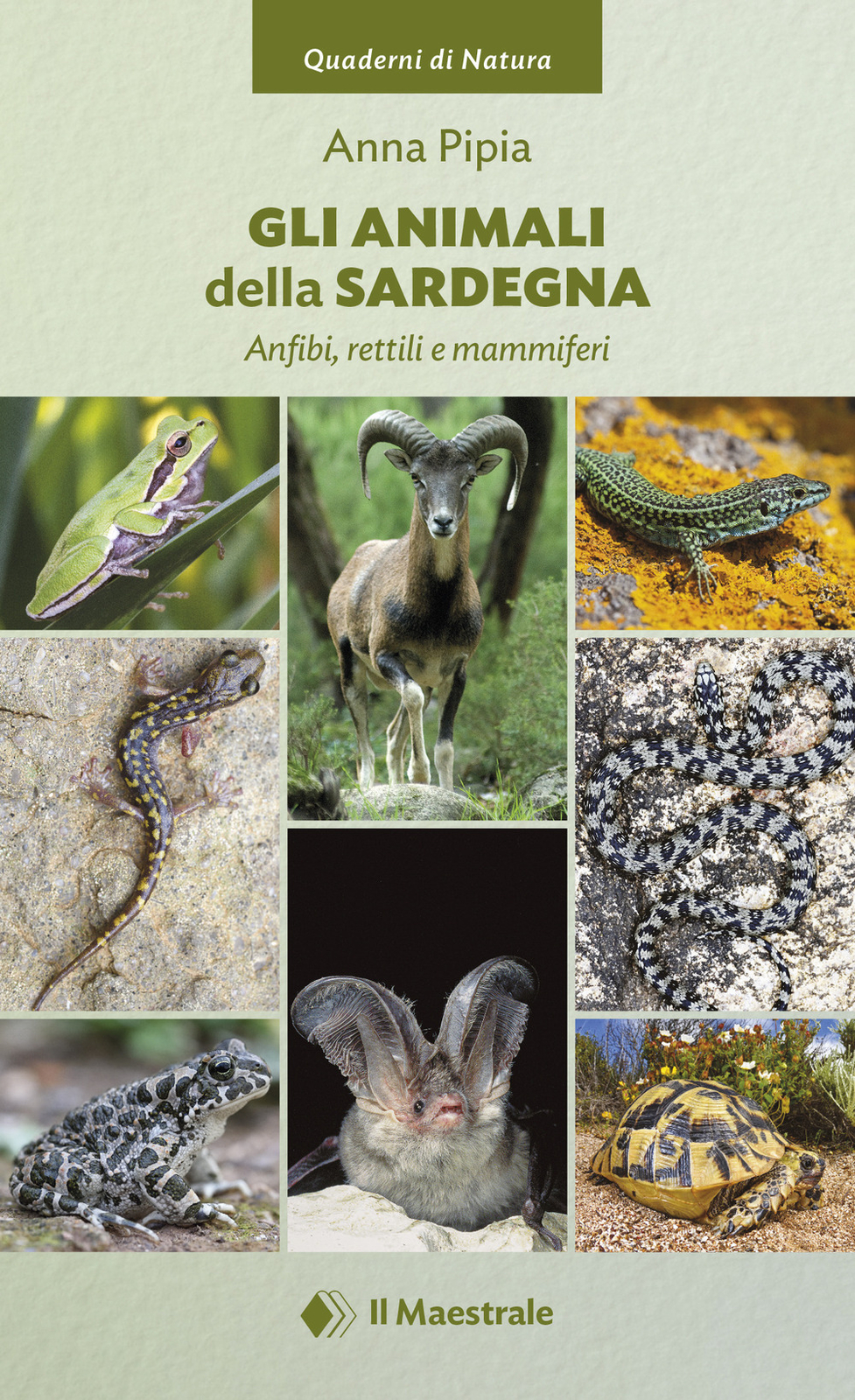 Libri Pipia Anna - Gli Animali Della Sardegna. Anfibi, Rettili E Mammiferi