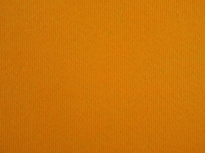 Event-Teppich Expo-Rips B1 (2 Meter Breite) orange (1/2)