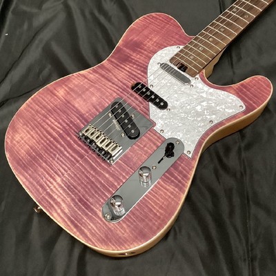 Aria Pro II 615-AE200 LV (Aria Pro 2 Evergreen Lavender)Gem Mint From Japan