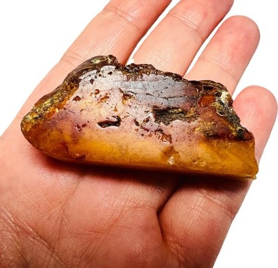 Butterscotch Bernstein Brocken   Rohbernstein / Baltic Amber Chunk   Sammler