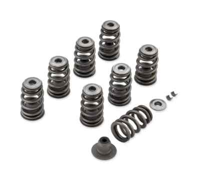 Screamin' Eagle Performance Ventilfedern-Set Milwaukee-Eight 18100080 SALE!