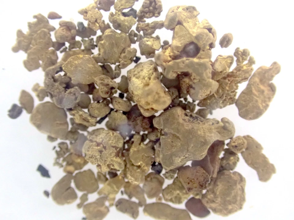 Oro de California 49'er - Recuperación de naufragios de América Central de las SS - GCSI pellizco de oro Foto 4 de 4