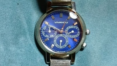 Orient VIVAYOU DayDate Watch Timepiece Stainless Steel Case Leather Band