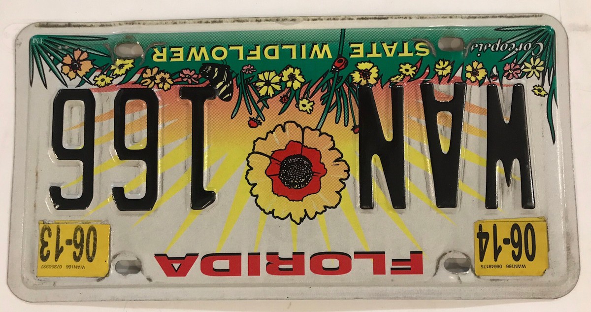 COREOPSIS WILDFLOWER license plate WAN WANDA 166 Flora Botanical
