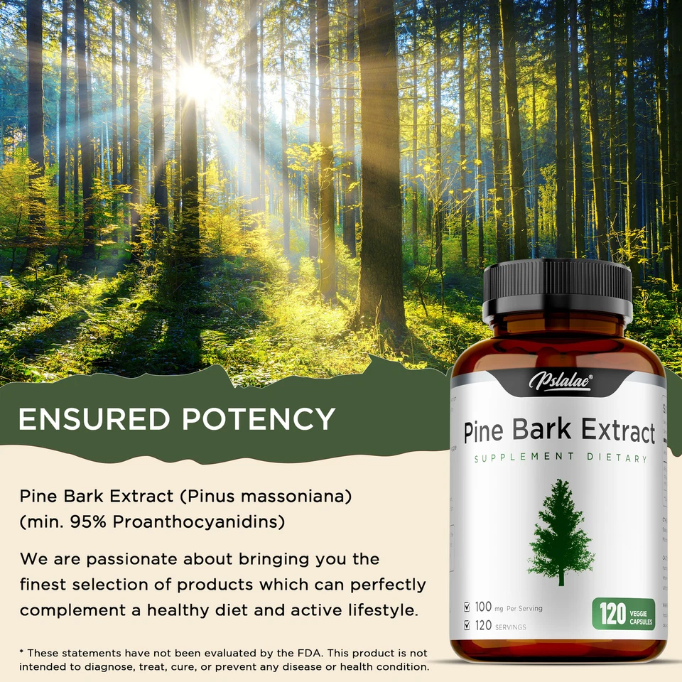 Kiefernrindenextrakt -Antioxidans,Anti-Aging,Herz-Kreislauf- Und Immungesundheit - Bild 3 von 4