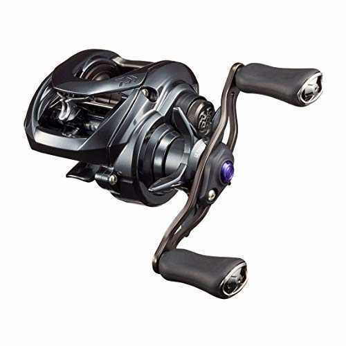 【ふるさと割】 DAIWA Bait Reel 20 TATULA SV TW 103XHL Left handle | eBay その他